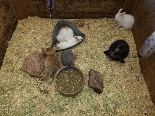 Pet Supply Store «Western Ranch & Pet Supply», reviews and photos, 103 Aegean Way, Vacaville, CA 95687, USA