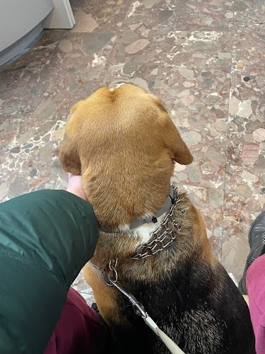 Leonard Gugała Przychodnia weterynaryjna małych zwierząt | Grupa EDINA