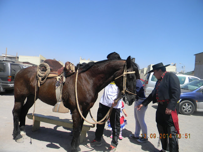 C. Troncal 4085, Alto Hospicio, Tarapacá, Chile