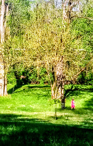 Park «George Rogers Clark Park», reviews and photos, 1024 Thruston Ave, Louisville, KY 40217, USA