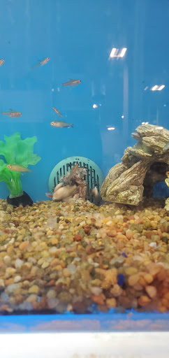 Pet Supply Store «PetSmart», reviews and photos, 6046 Marsha Sharp Fwy, Lubbock, TX 79407, USA