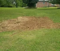 A-Way Stump Grinding & Lawn Care - Car repair in , Nashville - Rated 5.0/5
