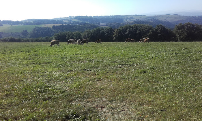 Photos des visiteurs Chambre d'hôtes Astruc Jean-Pierre 15110 Chaudes-Aigues
