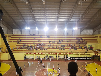 Polideportivo Municipal Juan León Mallorquin