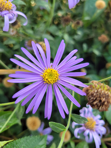 Park «Van Der Donck Park», reviews and photos, 41 Dock St, Yonkers, NY 10701, USA