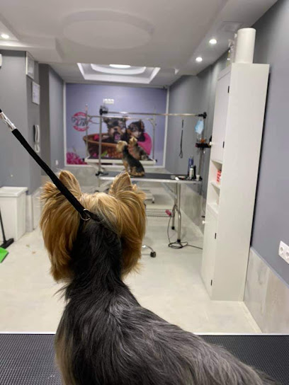 Serdika Groom by P&T фризьорски салон за кучета