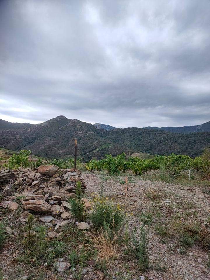 Photo n° 2 de l'avis de Zevrann. fait le 10/08/2021 à 08:14