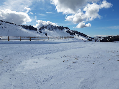 Bernex à Bernex