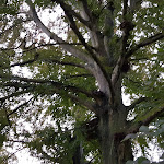 Photo n°4 de l'avis de Susen.i fait le 31/08/2021 à 10:09 sur le  LIVE WERK Das HafenRestaurant à Neustrelitz