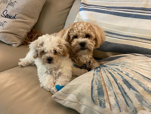 155 108th Ave, Treasure Island, FL 33706, USA