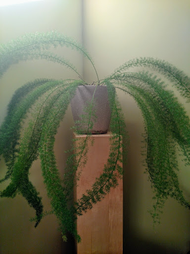 Spa «Studio Donna Lifestyle Salon Spa», reviews and photos, 2944 Colby Ave, Everett, WA 98201, USA