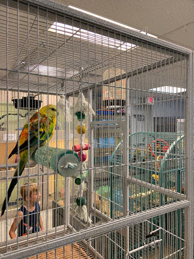 Pet Store «Exotic Pets», reviews and photos, 2410 N Decatur Blvd #160, Las Vegas, NV 89108, USA