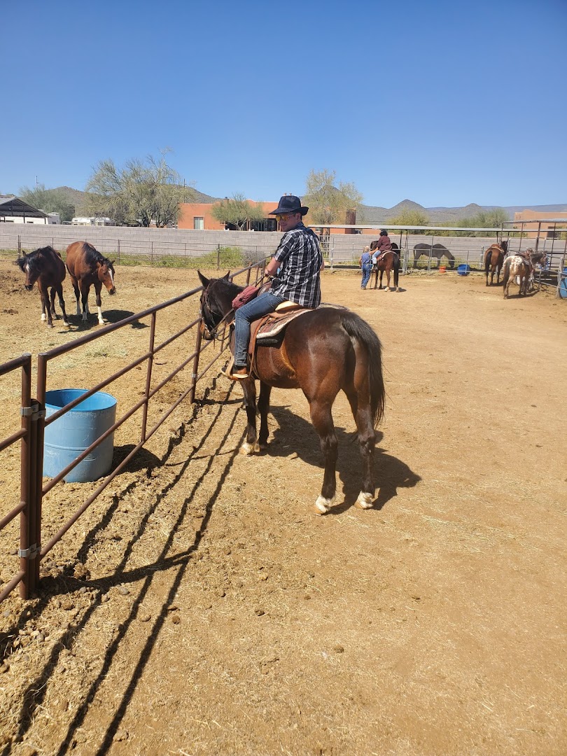 Desert Star Horse Rescue