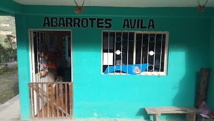 ABARROTES LOS AVILA - C. Bugambilias 6, Tlamaya Chico, 73286 Tlapacoya, Pue., Mexico