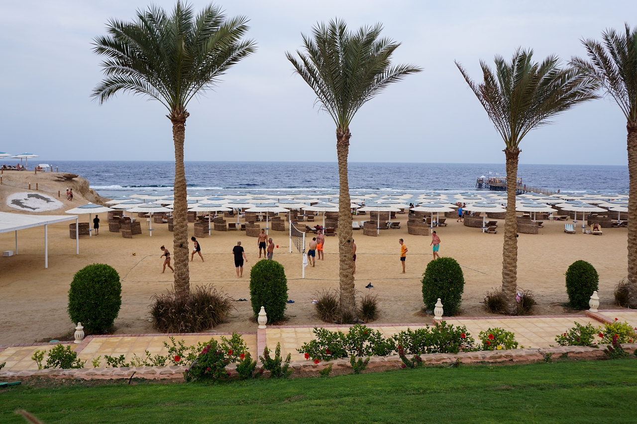 Photo de Solymar Reef Marsa zone de l'hôtel