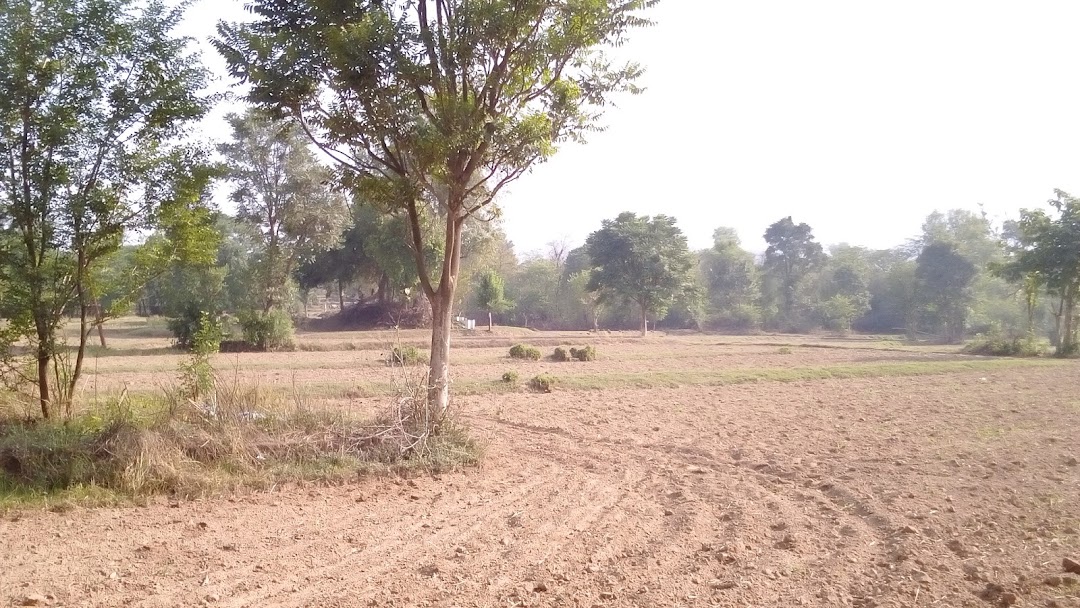 Bholu Baba