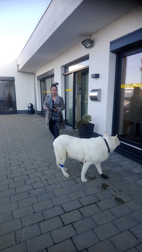 Tierarztpraxis Monsheim unter Monsheim, 