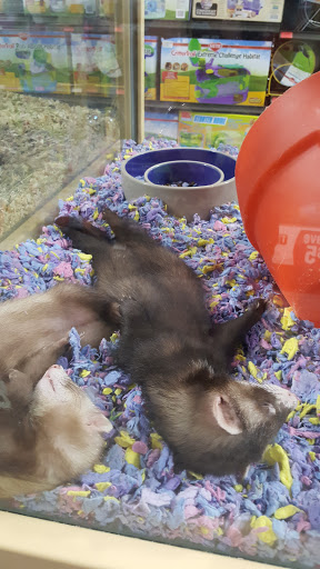 Pet Supply Store «Pet Supermarket, Inc.», reviews and photos, 1052 Peachtree Industrial Blvd, Suwanee, GA 30024, USA
