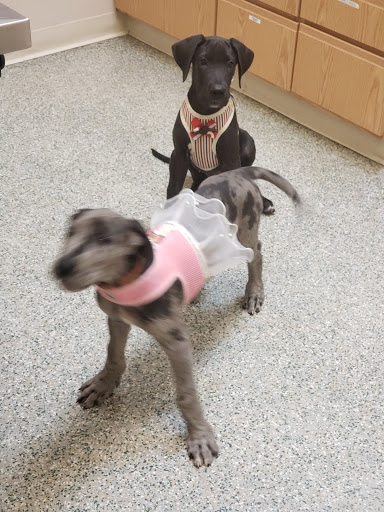 Shopping Mall «Greenbrier Shopping Center», reviews and photos, 225 Brierhill Dr, Bel Air, MD 21015, USA