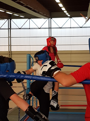Pont D'ain Boxe à Pont-d'Ain