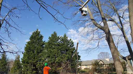 Golf Club «Cripple Creek Golf and Country Club», reviews and photos, 29494 Cripple Creek Rd, Dagsboro, DE 19939, USA