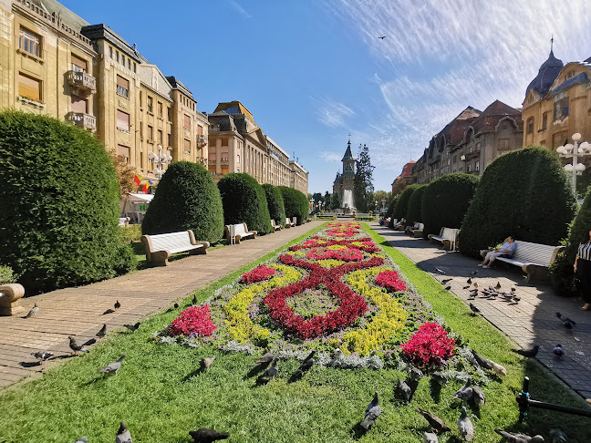 Centru Timisoara