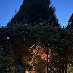 Photo n°4 de l'avis de Paola.a fait le 16/08/2023 à 20:09 sur le  Le Luci del lago à Laglio