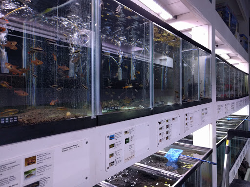 Tropical Fish Store «Neptune Aquatics», reviews and photos, 1238 N 5th St, San Jose, CA 95112, USA