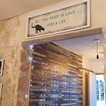 Photo n° 3 de l'avis de Vanille.r fait le 10/08/2021 à 14:24 pour La compagnie des chats à Avignon