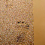 Photo n°2 de l'avis de Vera.a fait le 08/06/2022 à 15:35 sur le  Cafe Restaurant Kluntje-Pott à Dornum