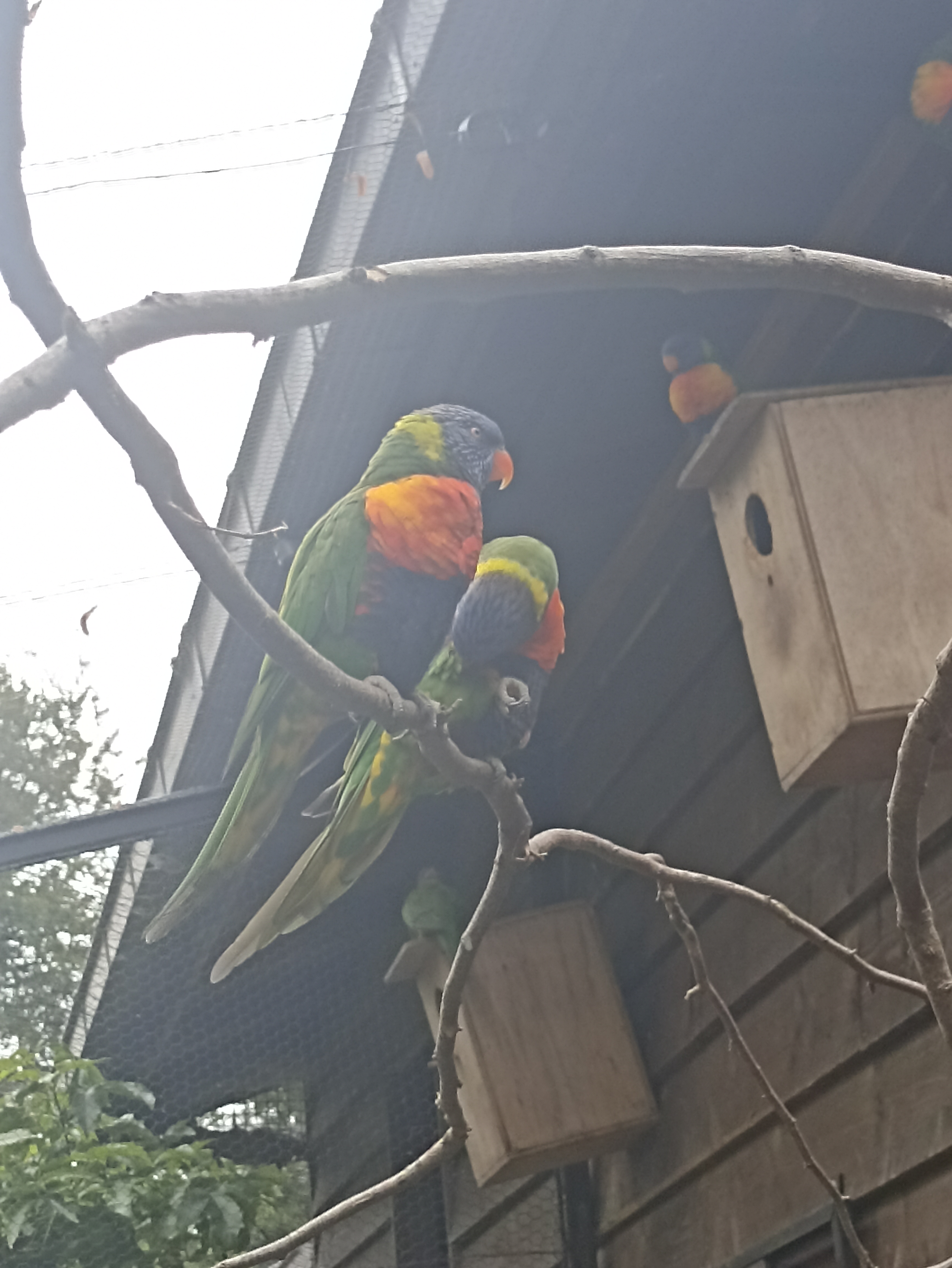 Photo n° 13 de l'avis de INGRID.. fait le 01/05/2023 à 21:03