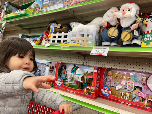 Home Improvement Store «Tractor Supply Co.», reviews and photos, 1415 Olney Ave SE, Port Orchard, WA 98366, USA