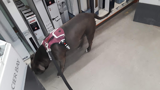 Home Improvement Store «The Home Depot», reviews and photos, 870 Woodstock Rd, Roswell, GA 30075, USA