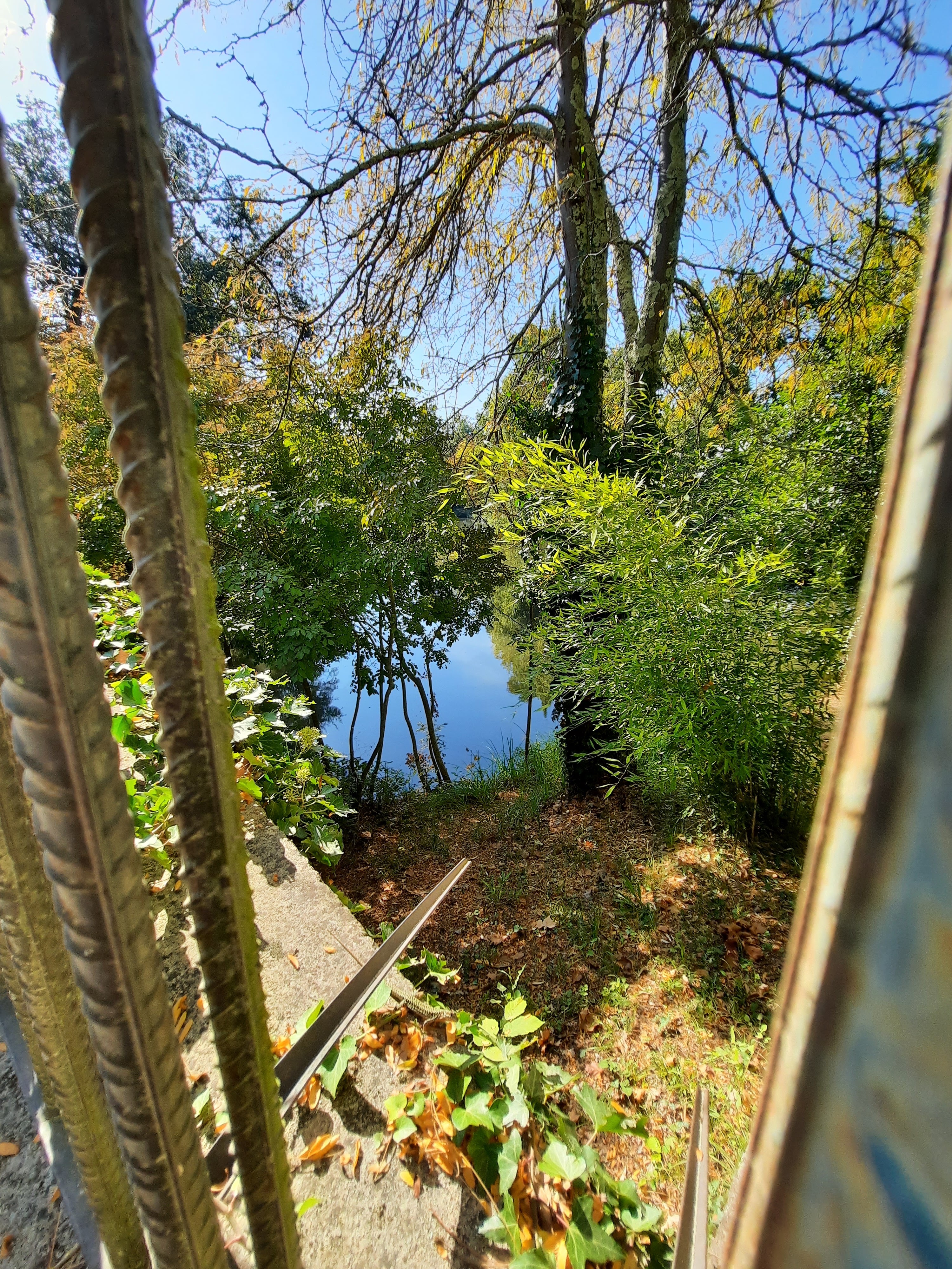 Photo n° 23 de l'avis de teixeira.a fait le 16/10/2021 à 21:10