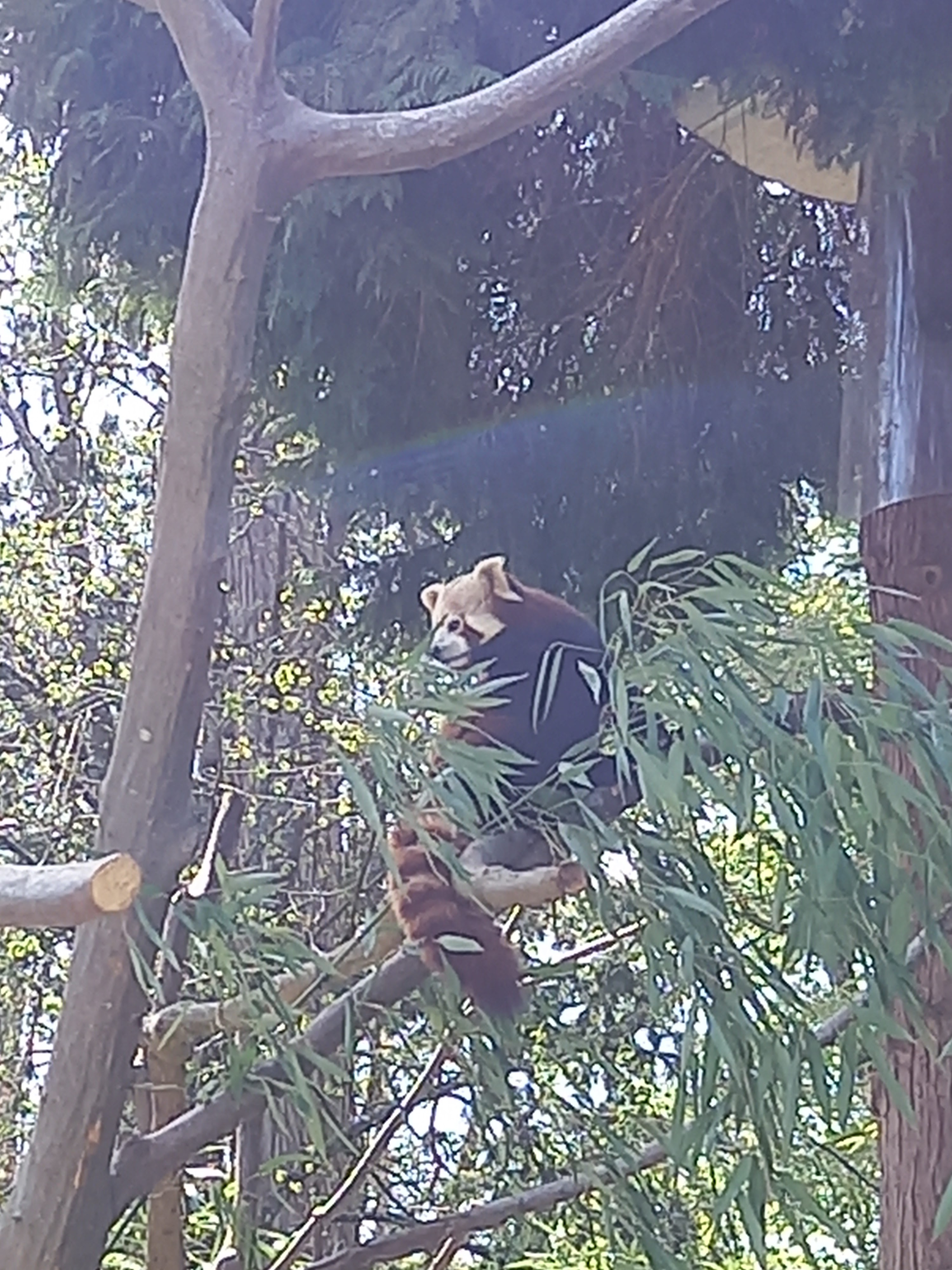Photo n° 3 de l'avis de Marion.o fait le 17/04/2022 à 13:14