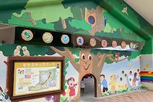 Chichibu Kids Park image