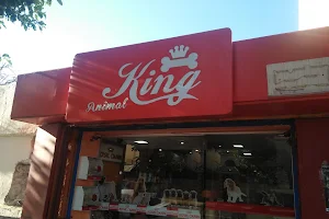 Animal King image