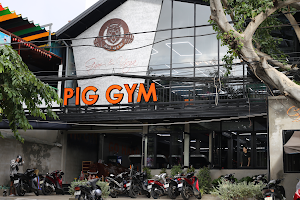 PIG GYM CS 2 image