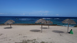 Zdjęcie Coral beach z poziomem czystości wysoki