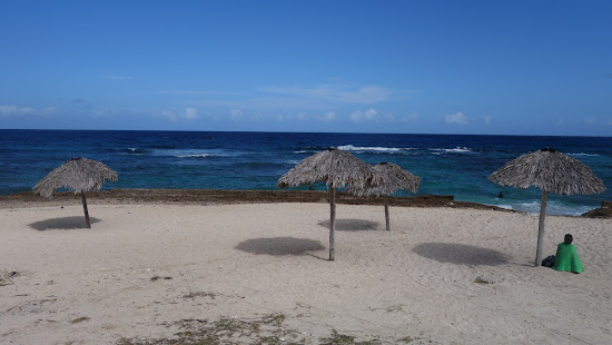 Coral beach