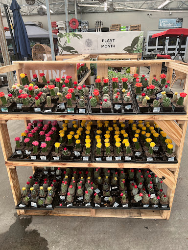 Department Store «Walmart Supercenter», reviews and photos, 8701 U.S. 19, Port Richey, FL 34668, USA