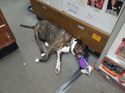 Record Store «Flipside Records», reviews and photos, 41 E 14 Mile Rd, Clawson, MI 48017, USA