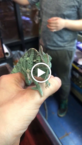 Pet Store «Jules Pet Shop», reviews and photos, 2214 N Milwaukee Ave, Chicago, IL 60647, USA