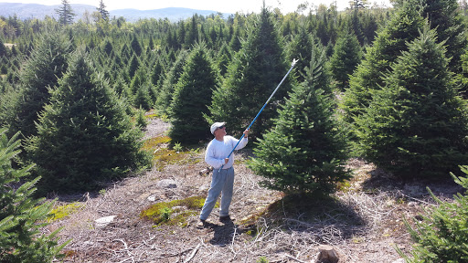 Garden Center «Dees Nursery & Florist», reviews and photos, 69 Atlantic Ave, Oceanside, NY 11572, USA