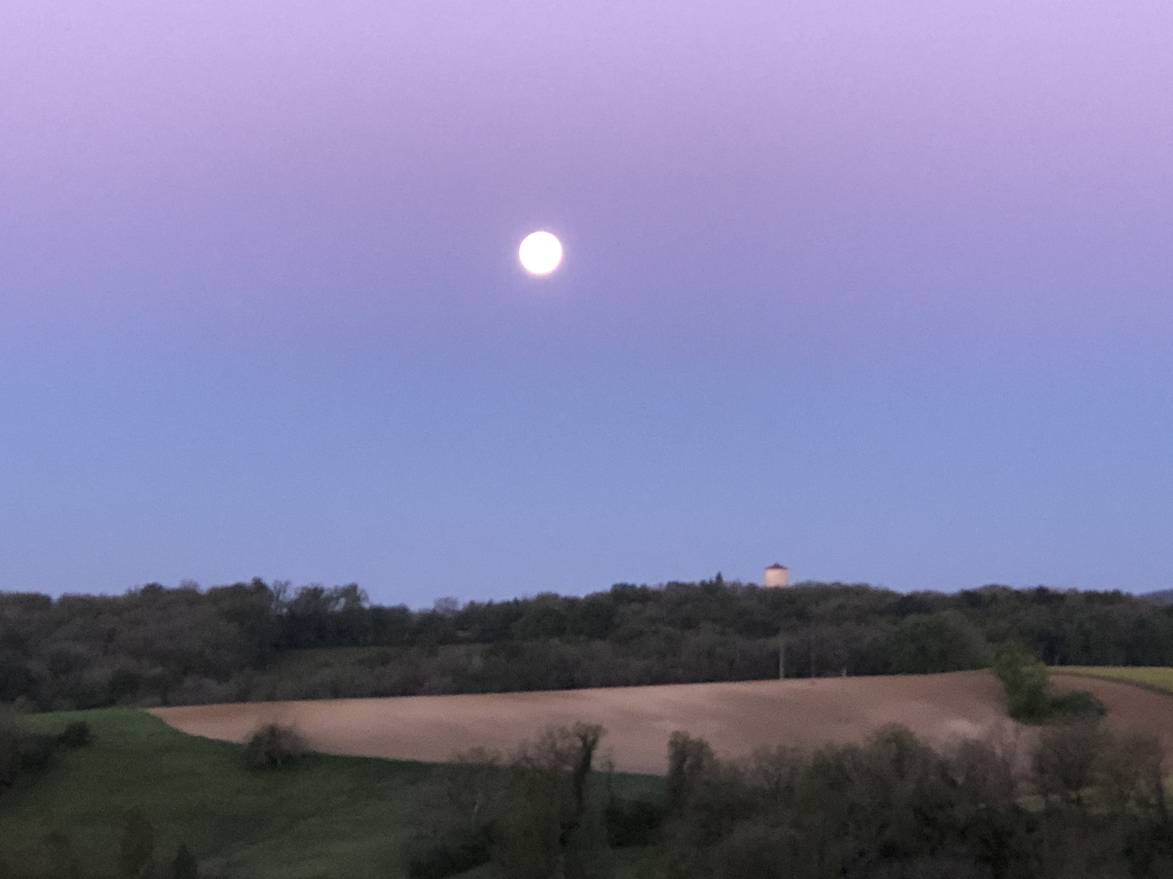 Photo n° 2 de l'avis de Laure.A fait le 02/01/2022 à 18:47