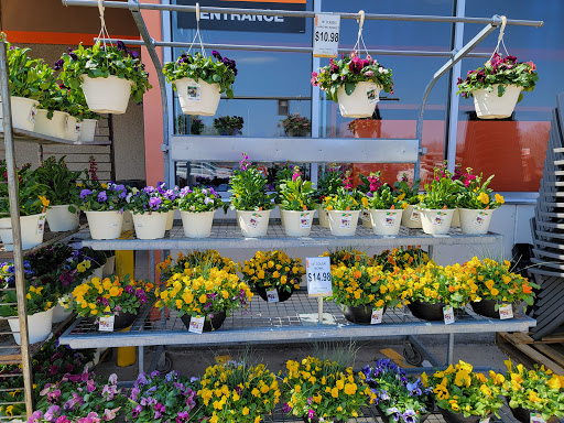 Home Improvement Store «The Home Depot», reviews and photos, 75 McLean Blvd, Paterson, NJ 07514, USA