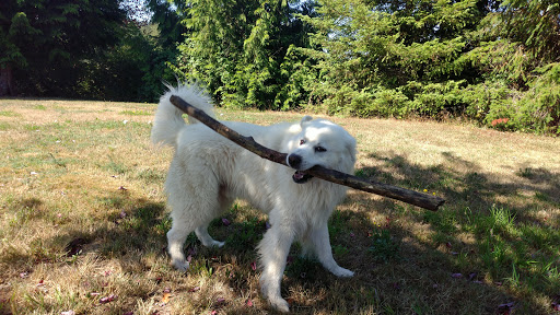 Pet Store «Petsense Aberdeen», reviews and photos, 1143 E Wishkah St, Aberdeen, WA 98520, USA