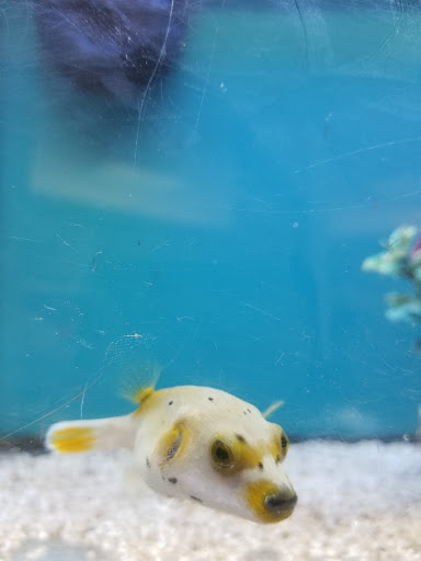 Pet Supply Store «Petco Animal Supplies», reviews and photos, 7721 Mentor Ave, Mentor, OH 44060, USA