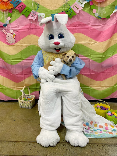 Pet Supply Store «PetSmart», reviews and photos, 315 Gellert Blvd, Daly City, CA 94015, USA