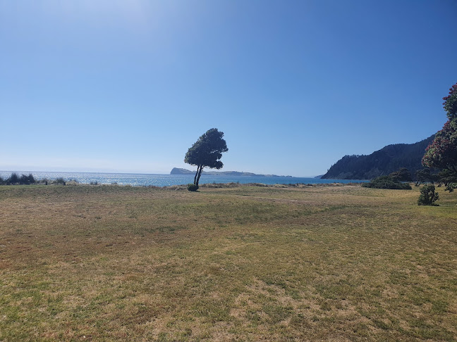Reviews of Surf Club Reserve in Pauanui - Other